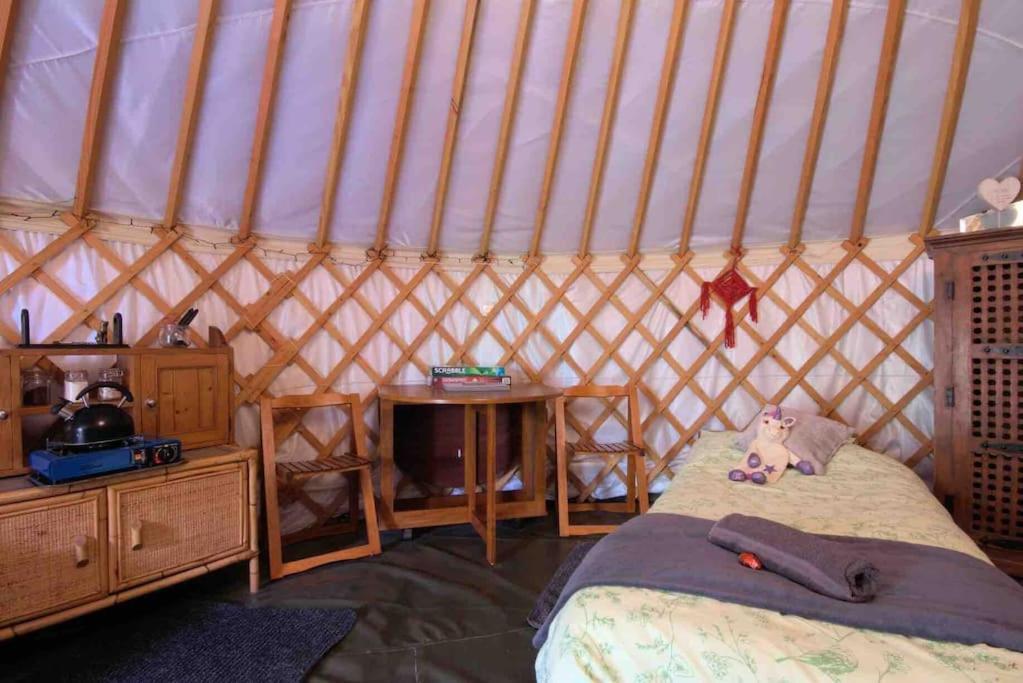 Magical Forest Yurt Sturry Exterior foto