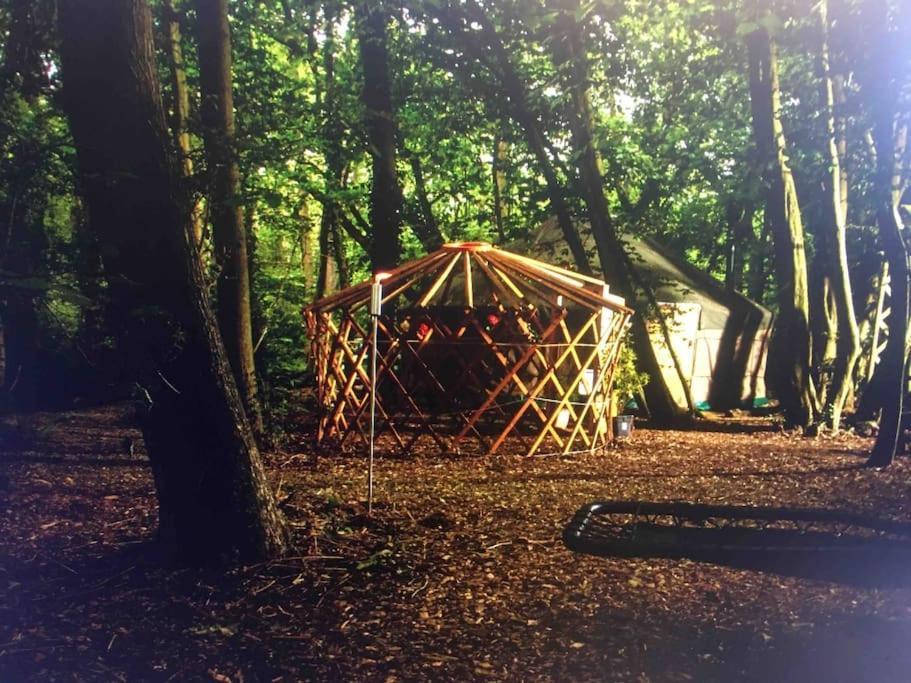 Magical Forest Yurt Sturry Exterior foto