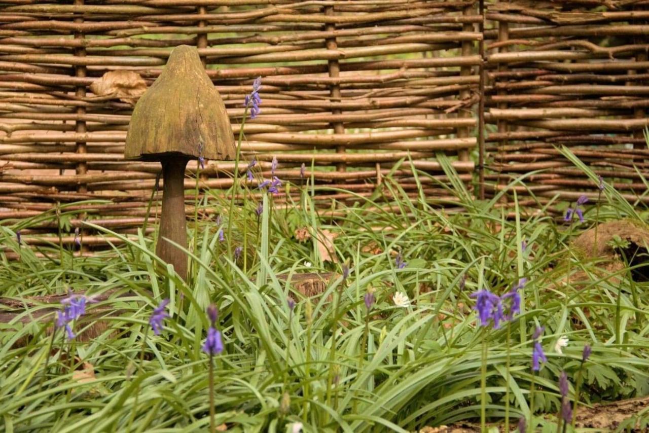 Magical Forest Yurt Sturry Exterior foto