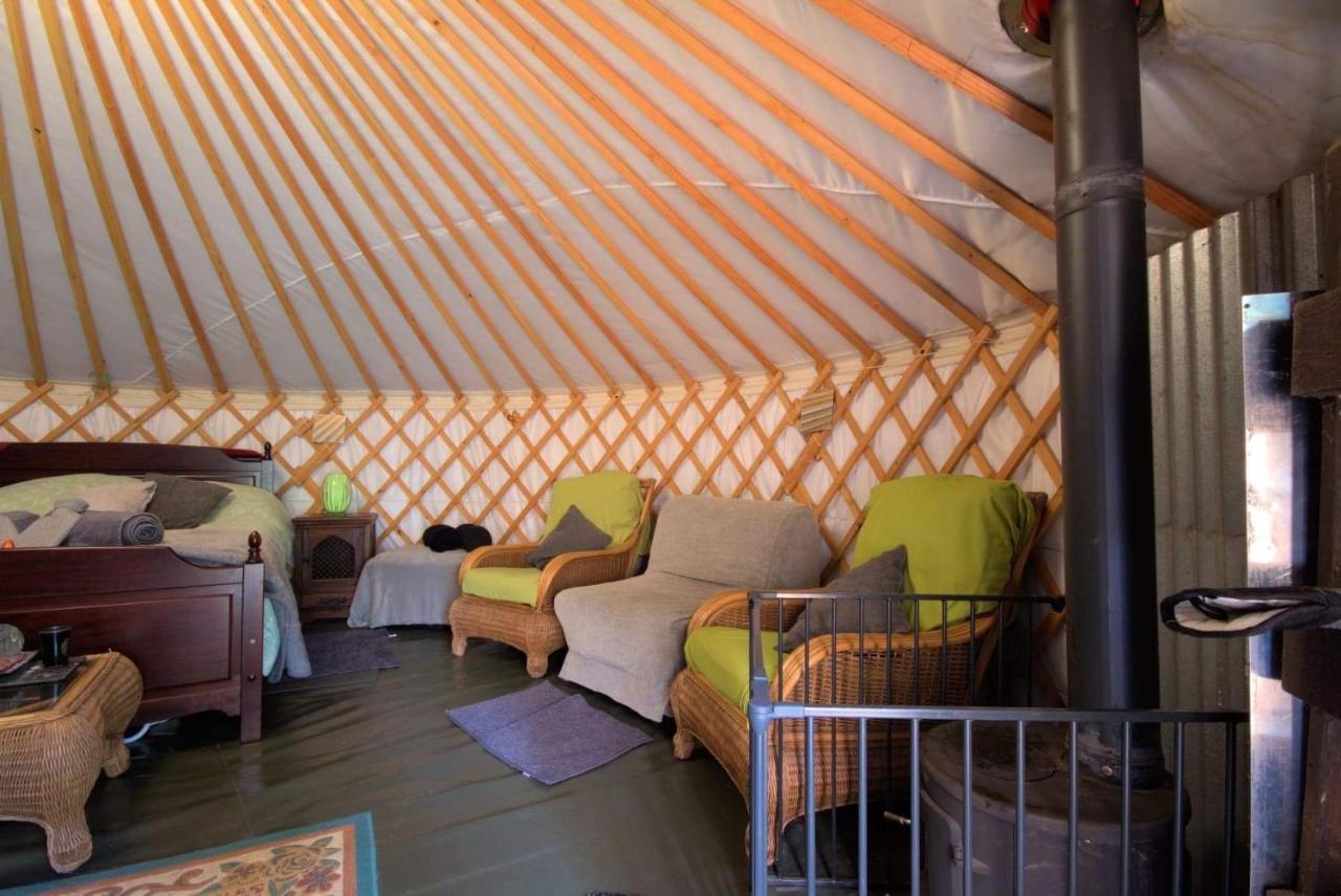 Magical Forest Yurt Sturry Exterior foto
