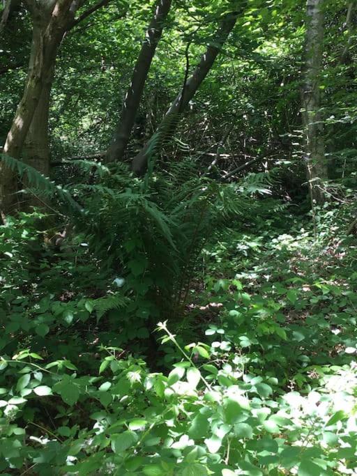 Magical Forest Yurt Sturry Exterior foto