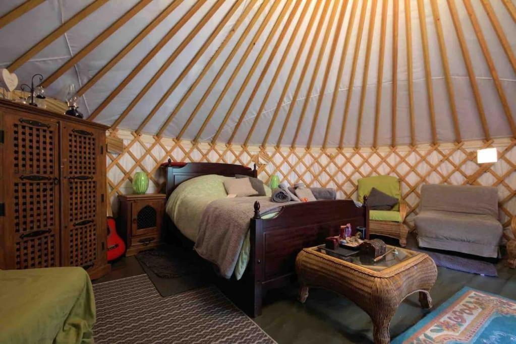 Magical Forest Yurt Sturry Exterior foto