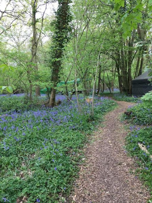 Magical Forest Yurt Sturry Exterior foto